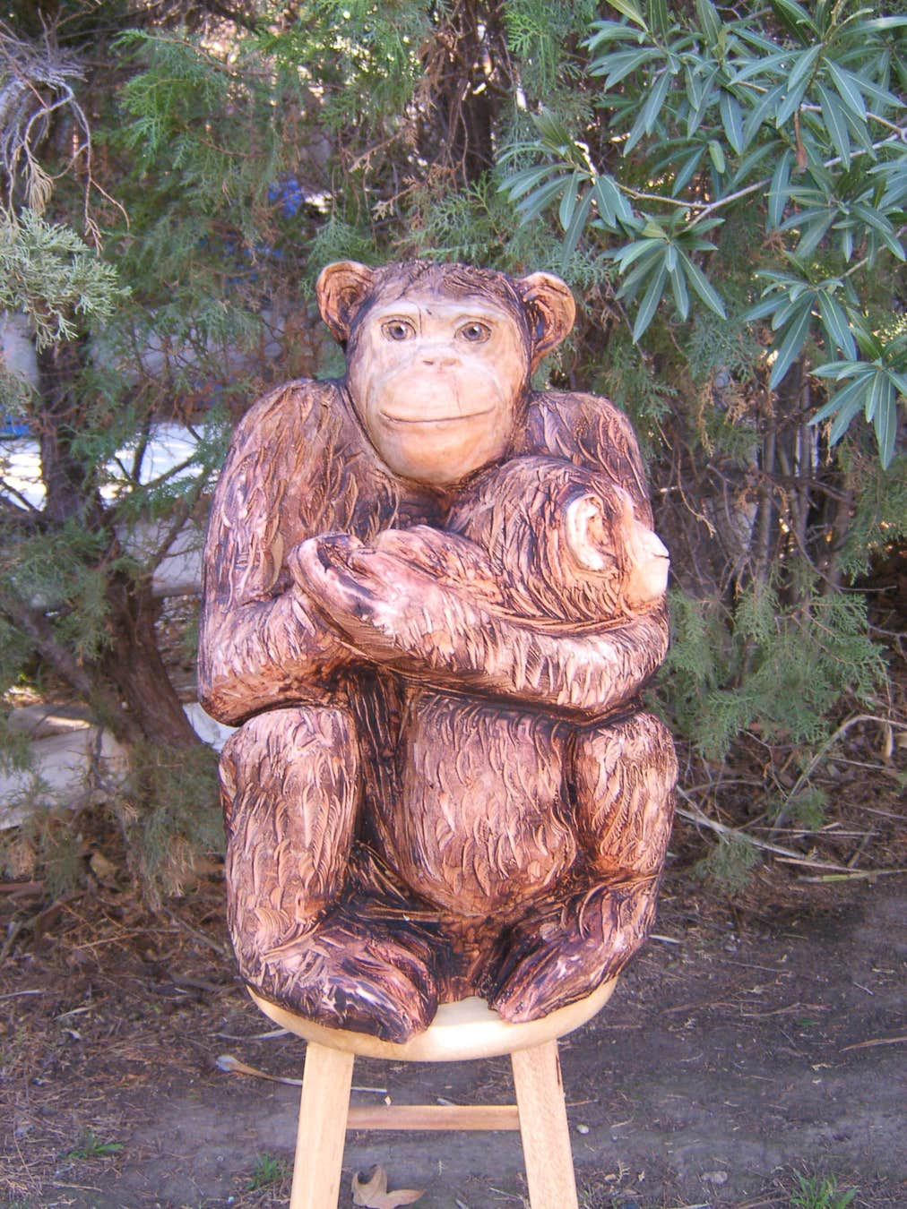 Chainsaw Woodcarving, Woodcarving, Wood carving, Wood Art, Woodworking, Woodcarving of a chimpanzee, sculpture of a chimpanzee, chimpanzee carving, Chainsaw Woodcarving, Woodcarving, Wood carving, Wood Art, Woodworking